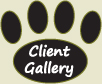 Client Gallery